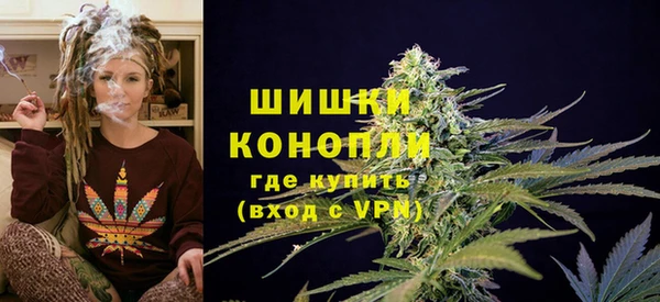 дмт Алзамай