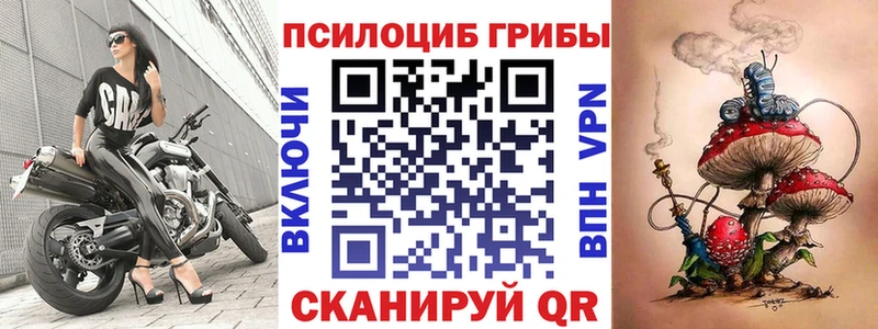 Галлюциногенные грибы Magic Shrooms  hydra ONION  Нытва  цена  