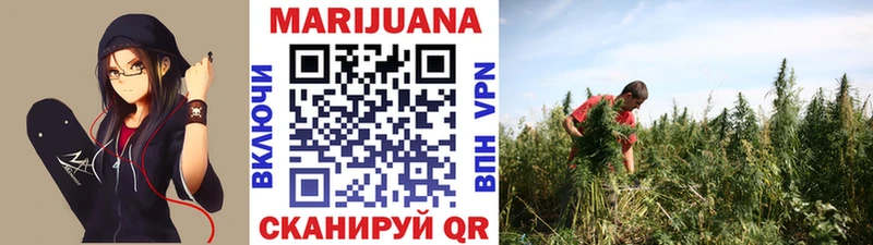 где найти   Нытва  блэк спрут маркетплейс  Конопля VHQ 